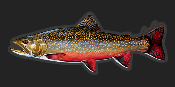 Localwaters Manistee River Fly Fishing Sticker Michigan Decal Brown Trout -  Localwaters