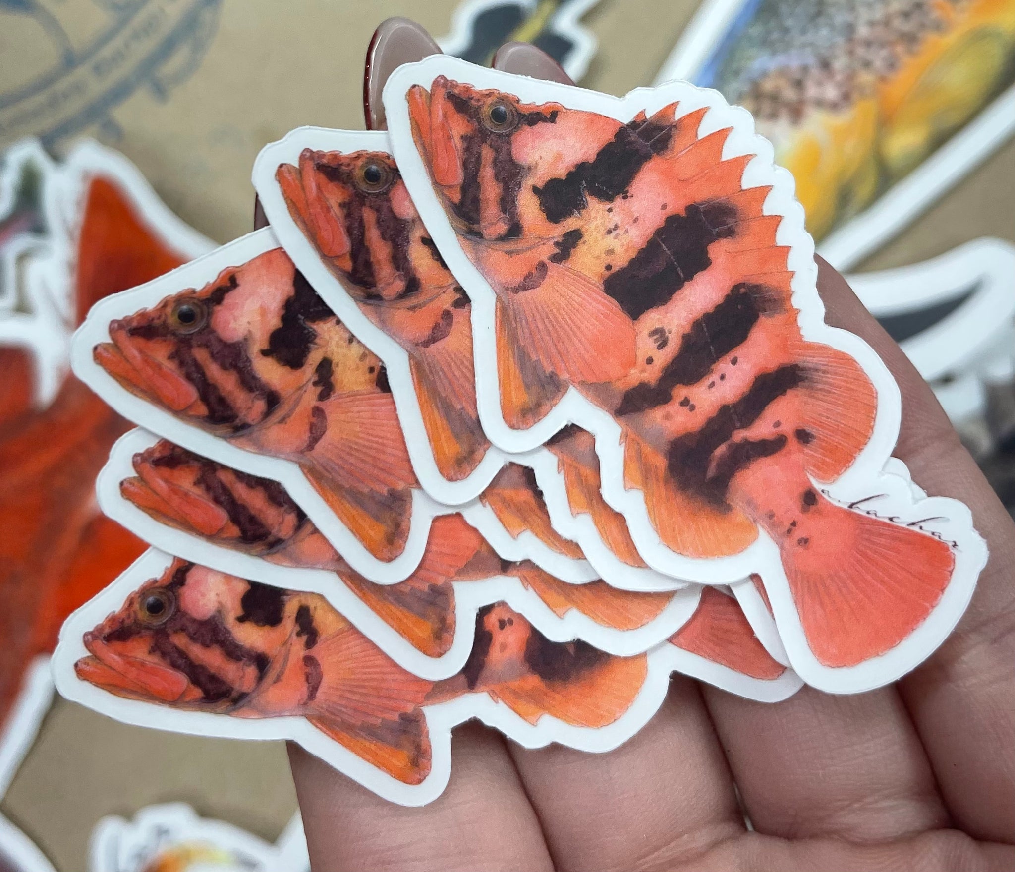 Shop Fish stickers  Mini Calico Bass Stickers & Decals Pack by Abachar  Studio