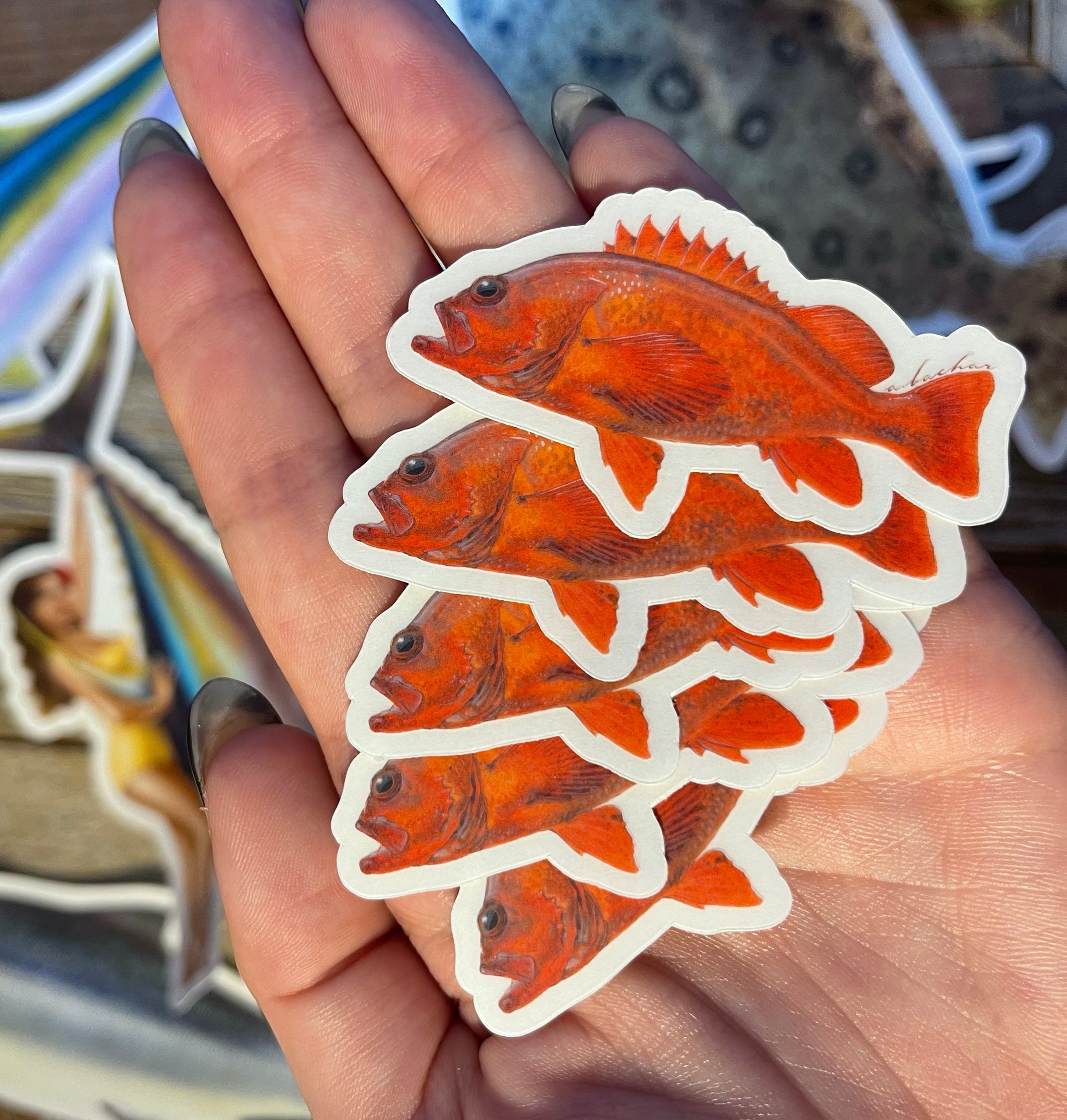 Socal Fish Stickers pack  Quality Fish Decals by Abachar Studio