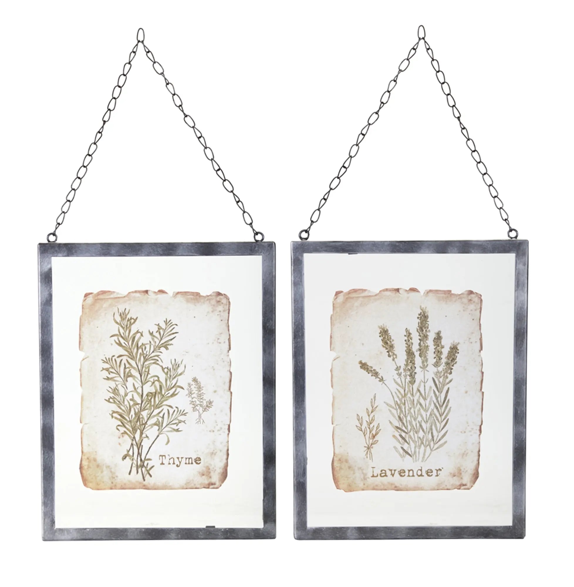 Lavender/Thyme Frame (Set of 2) 9.5" x 12.5" Glass/Metal Grey Coco