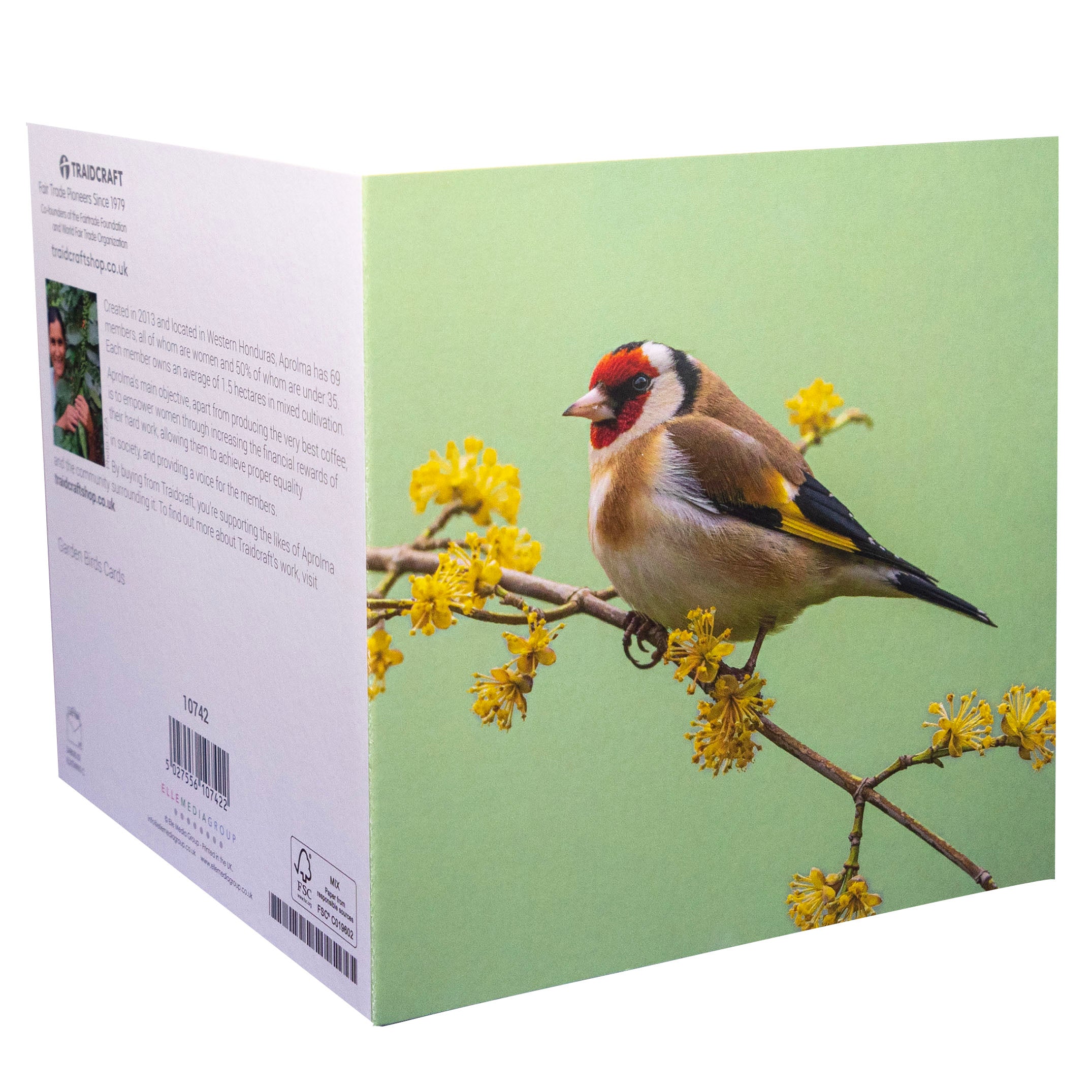 Image of Garden Birds Cards