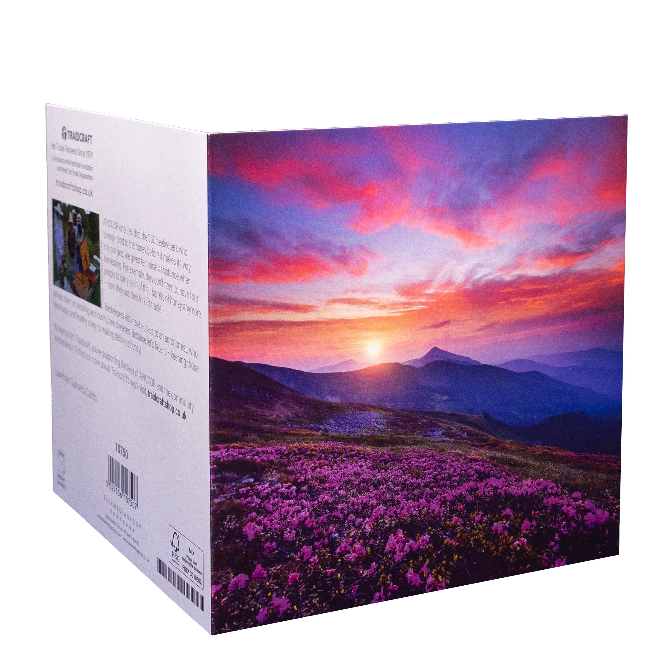 Image of Lavender Sunsets Cards