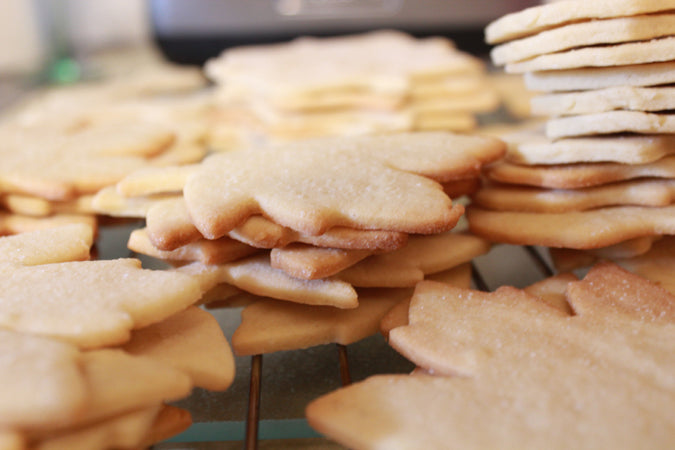 Best Cut Out Sugar Cookie Recipe For Cookie Cutters