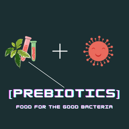 Prebiotic skincare illustration