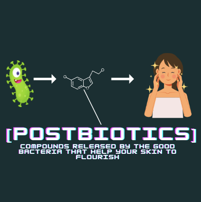 Postbiotic Skincare Illustration