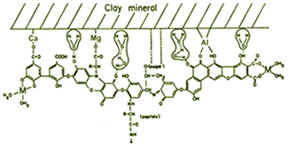 Clay Mineral