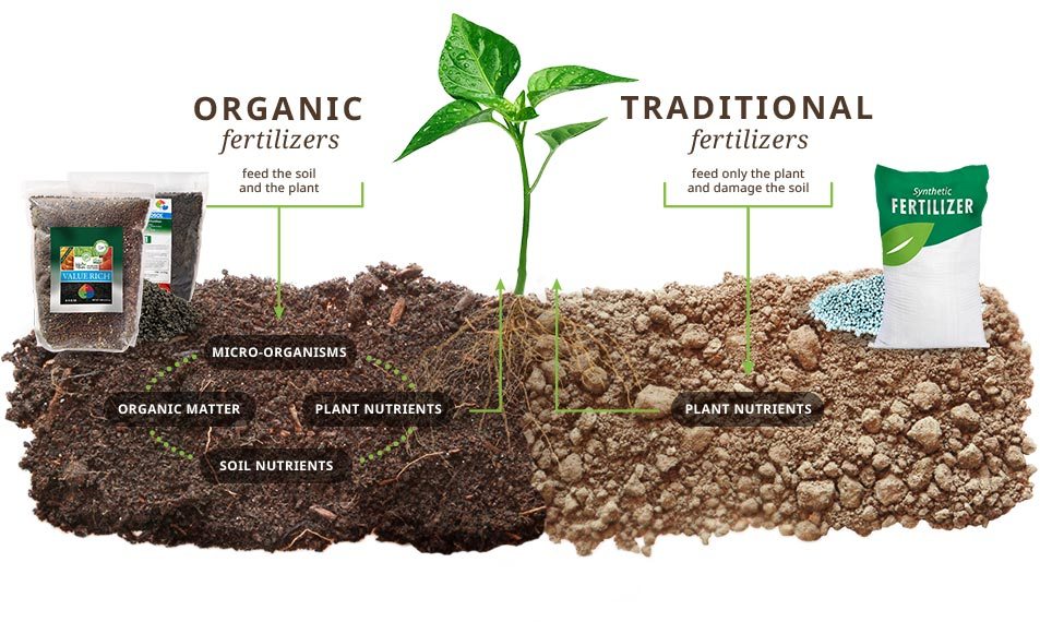 Your choice of fertilizer matters. – John & Bob's