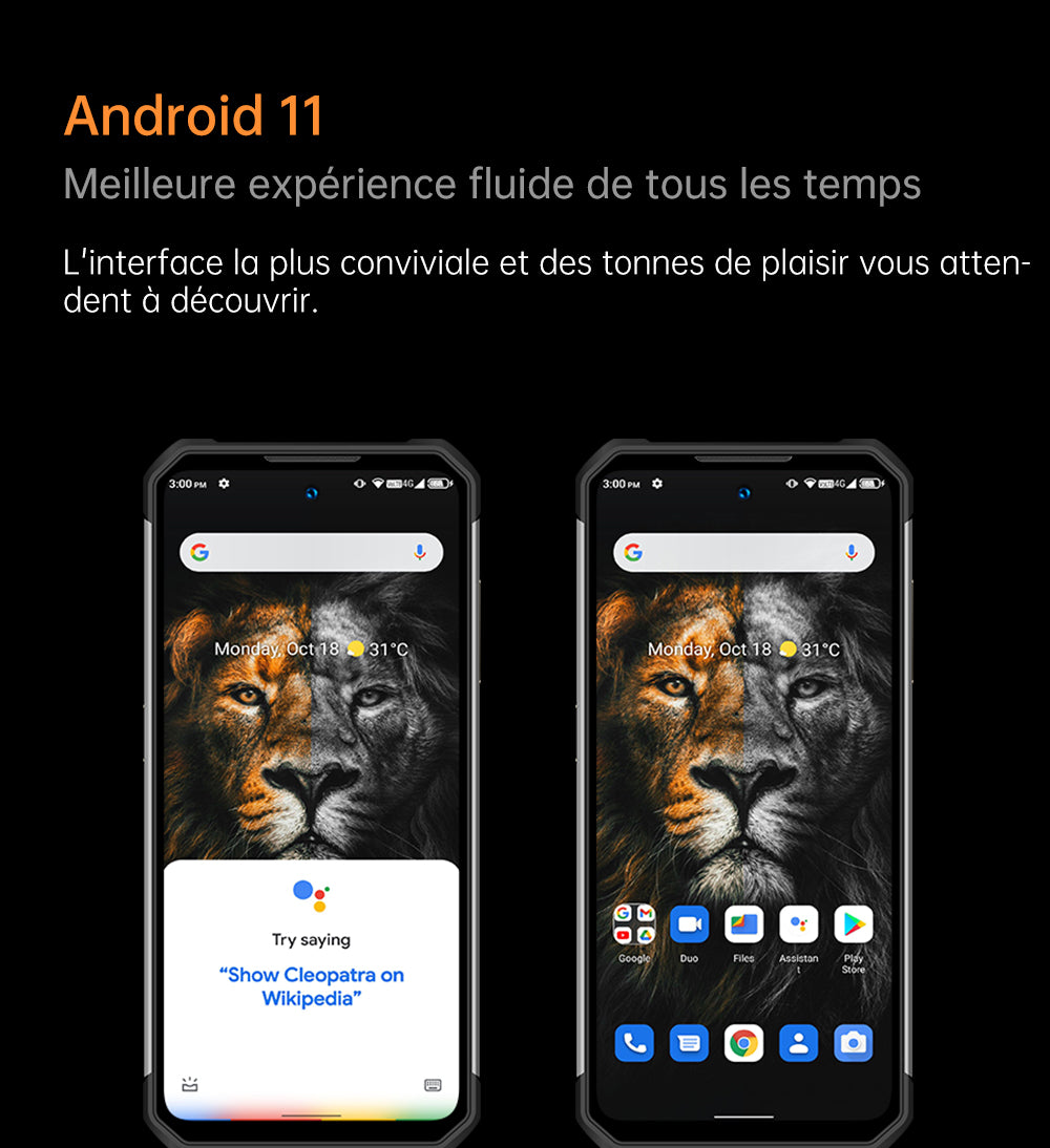 Oukitel WP17 french description