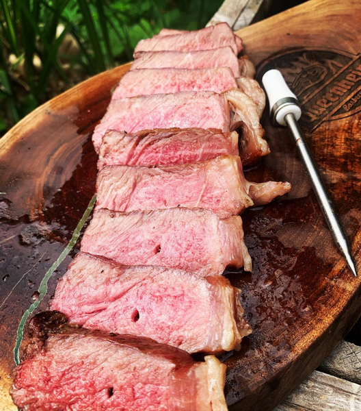 wireless meat thermometer