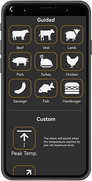 grill thermometer APP