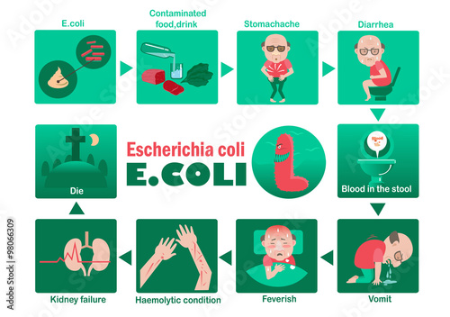 Symptoms of E. coli