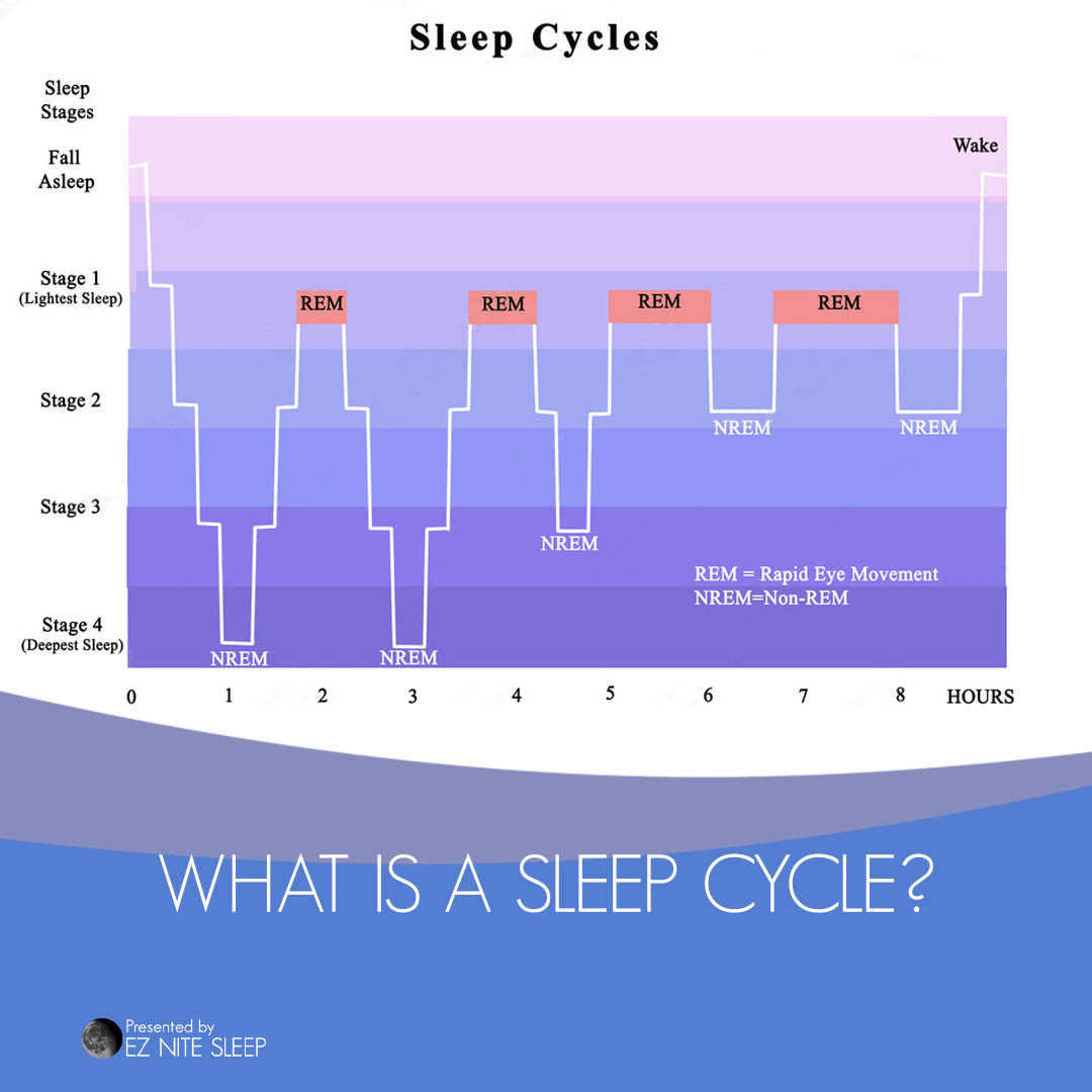 Understanding Sleep Cycles: What Happens During Each Stage – EZ Nite Sleep