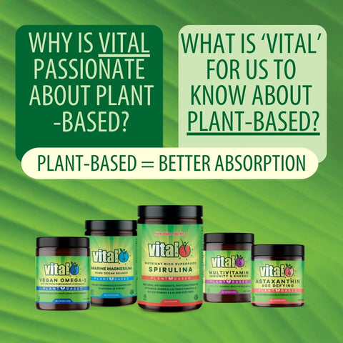 Plant Based = Better Absoption