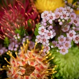 Native Floral Bouquet, Adelaide South Australia