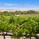 Barossa Valley, Adelaide, South Australia