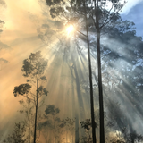 Bushfire Smoke, South Australia
