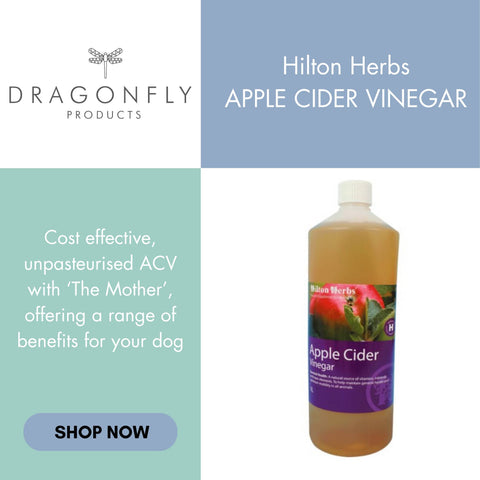 apple cider vinegar for dogs