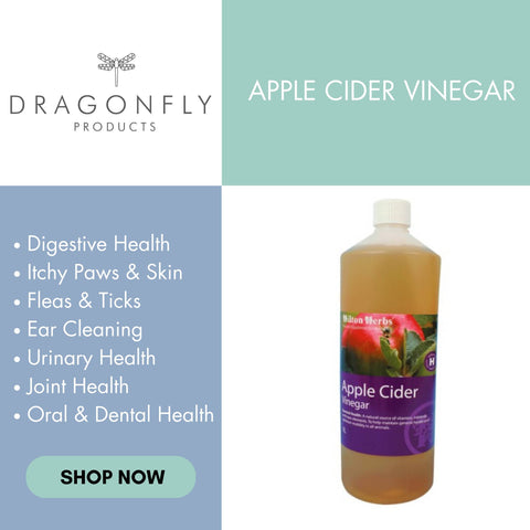 apple cider vinegar