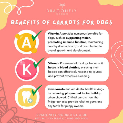 benefits of carrots for dogs