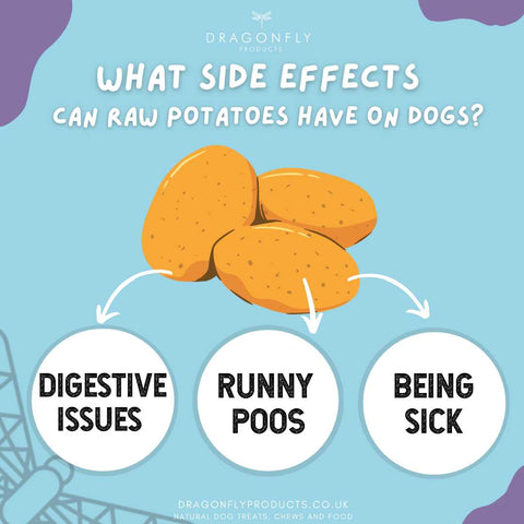 raw potatoes for dogs
