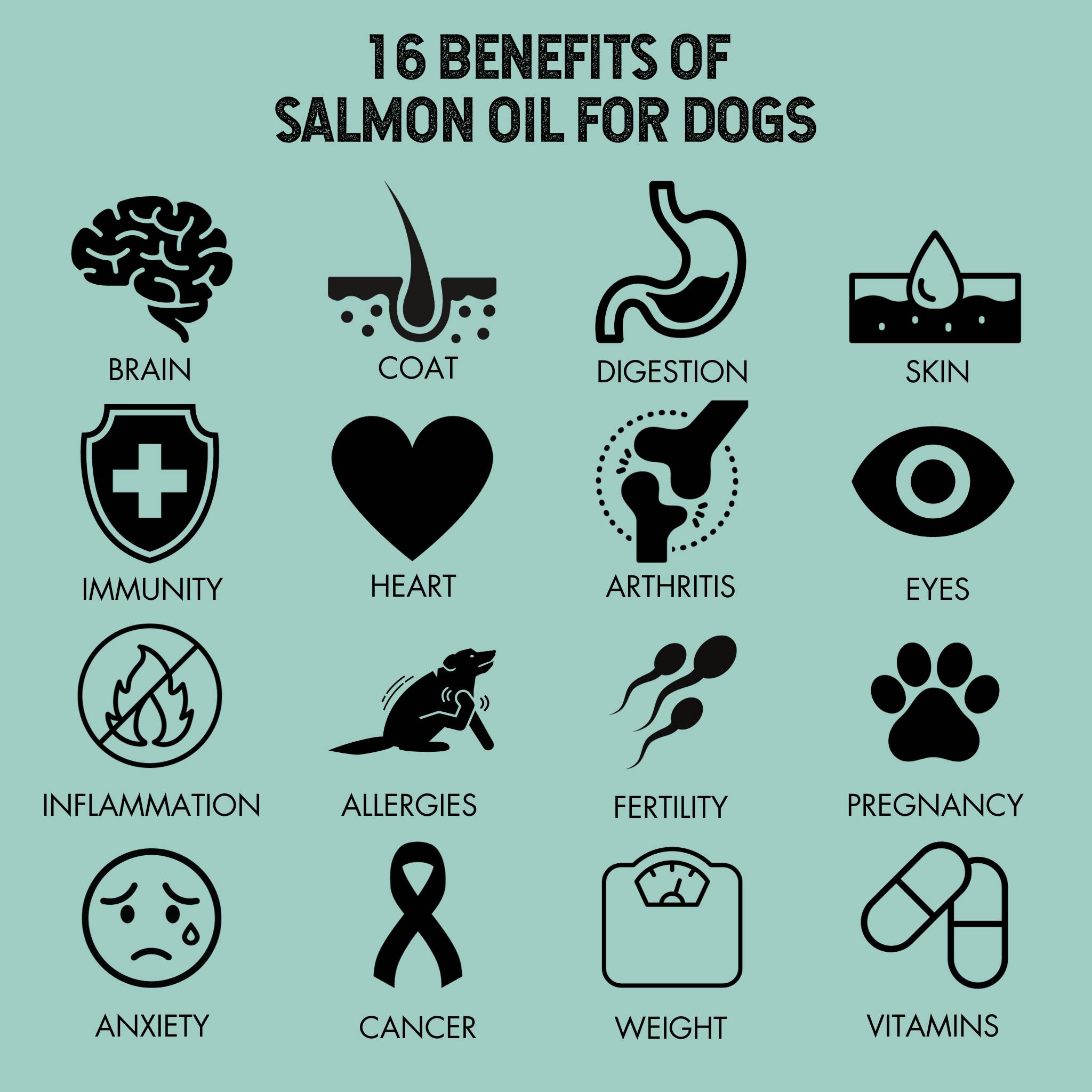 benefits of salmon oil for dogs