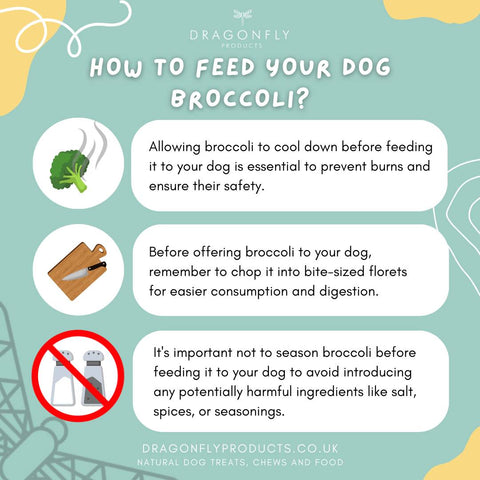 how to feed your dog broccoli