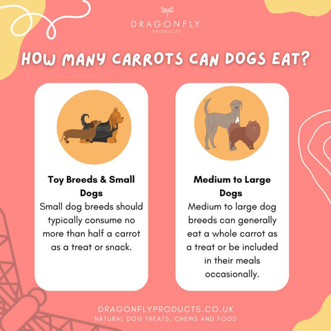 how much carrot can dogs eat