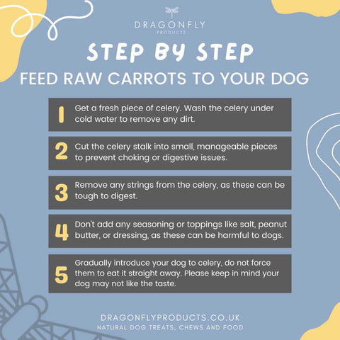 raw celery for dogs