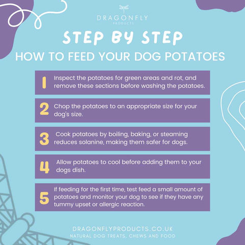 cooking potatoes for dogs
