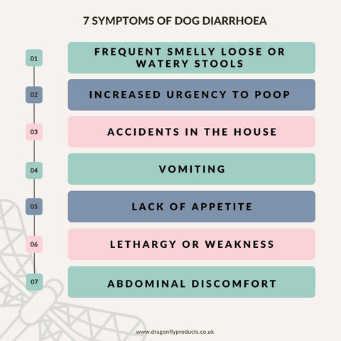 symptoms of diarrhoea in dogs