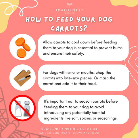 cooked carrots for dogs