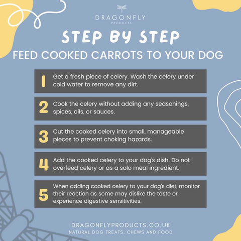cooked celery for dogs