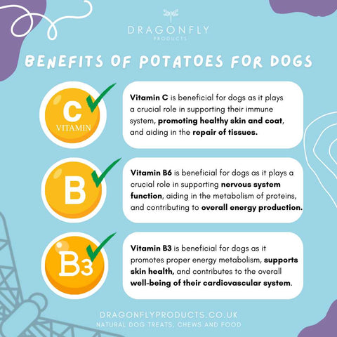 benefits of potatoes for dogs
