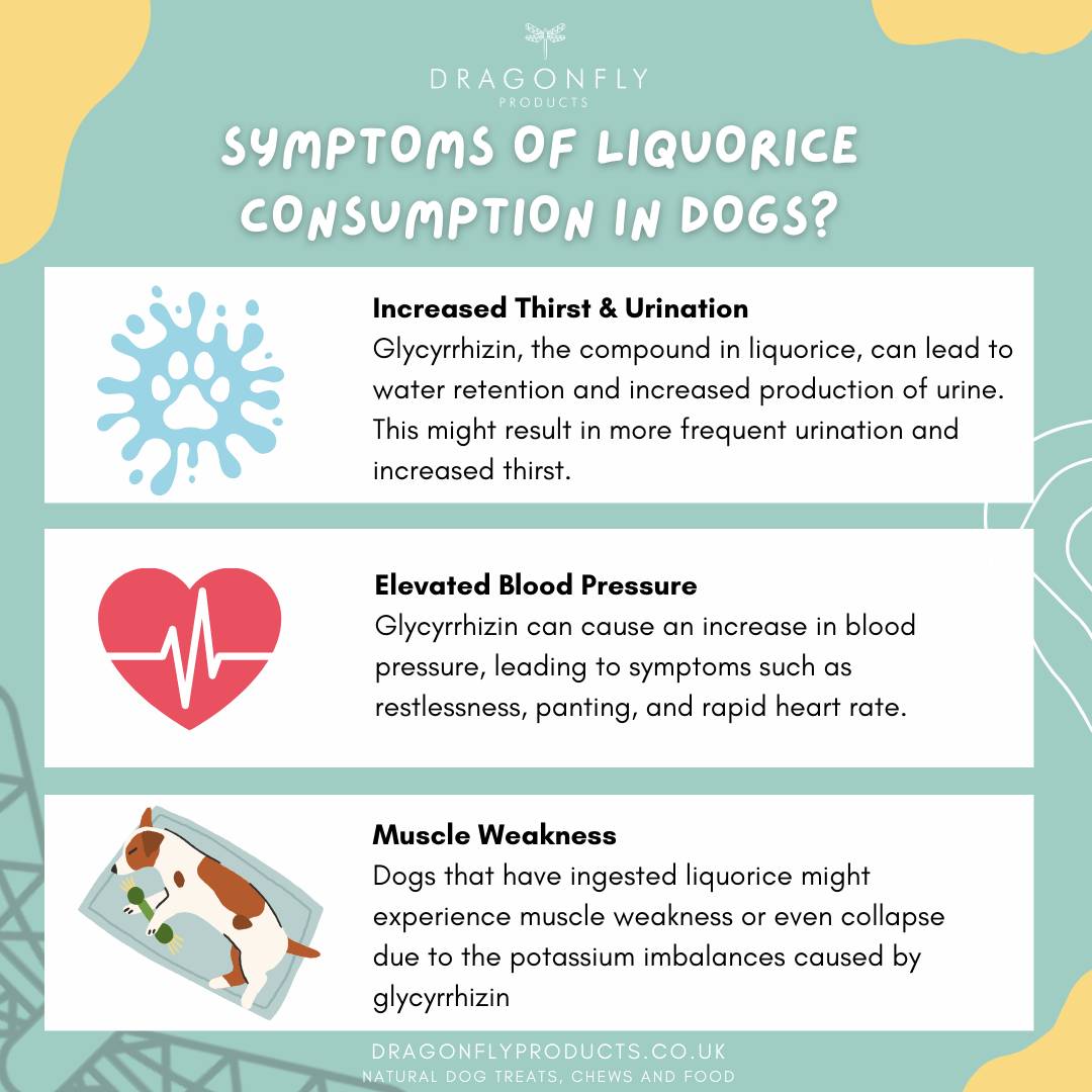 symptoms of liquorice consumption in dogs