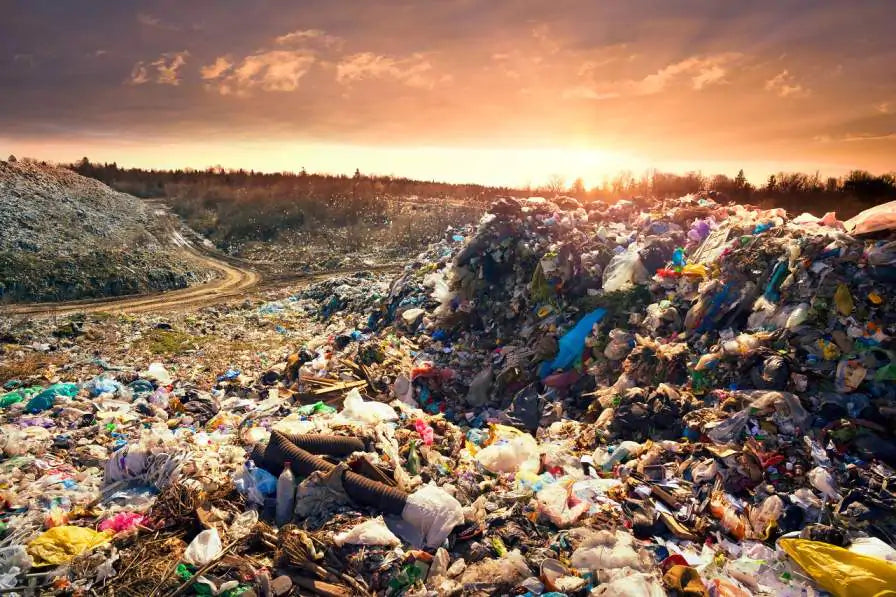 Largest Landfill