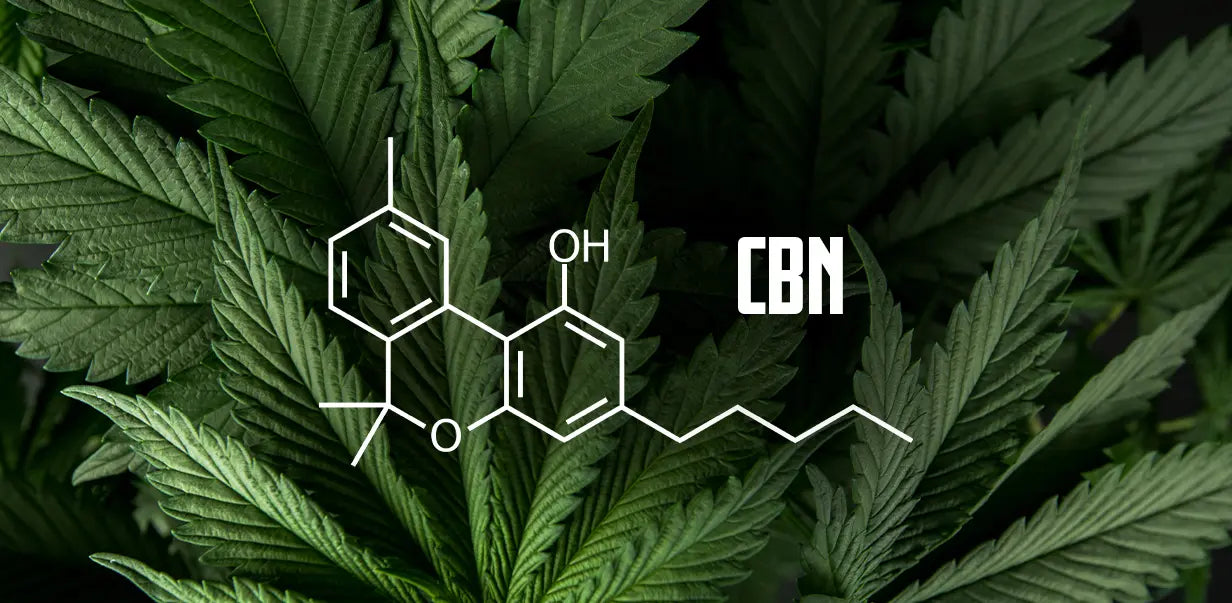 The chemical structure of CBN or Cannabinol