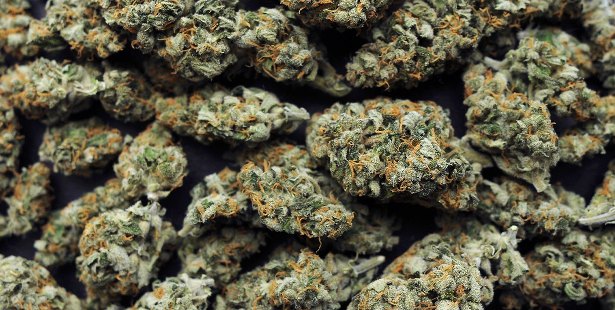delta 9 thc flower up close
