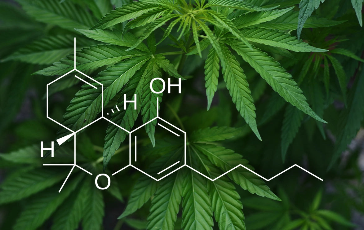 THC chemical compound