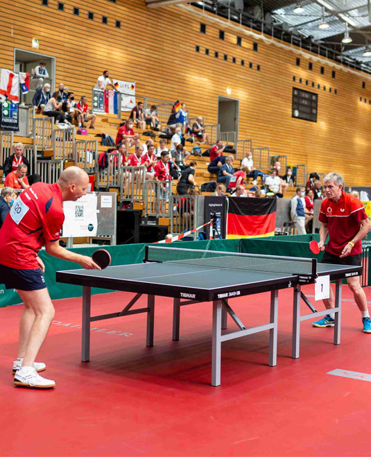 Professional table tennis competition.
