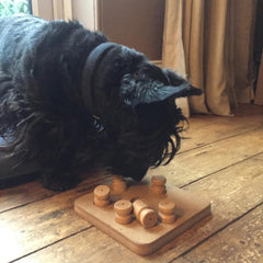 https://cdn.shopify.com/s/files/1/0718/1028/5843/files/scottie-with-puzzle-game-1024x1024_240x240.jpg?v=1679881675