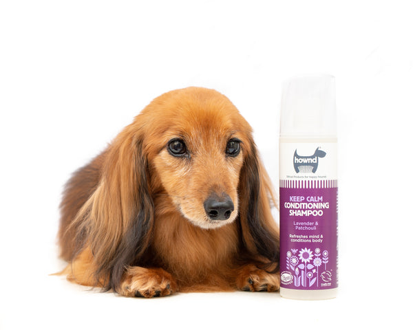 Hownd - Yup You Stink! Brume corporelle pour chiens (250ml) – The Woof Club
