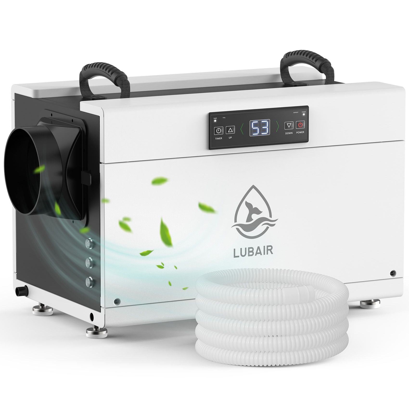 Crawl Space Dehumidifier