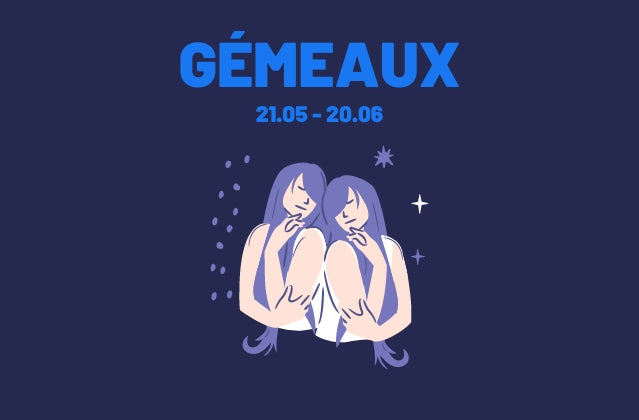 Zodiac Sign Gemini Illustration