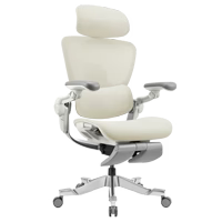 Hinomi H2 Pro ergonomic chair with ultra-soft hybrid mesh, aluminum frame, lumbar support, and ergonomic design.