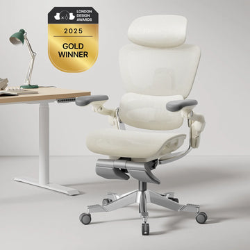 Office Chairs dropshipping Products