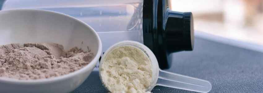 whey protein vs mass gainer