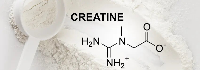 creatine