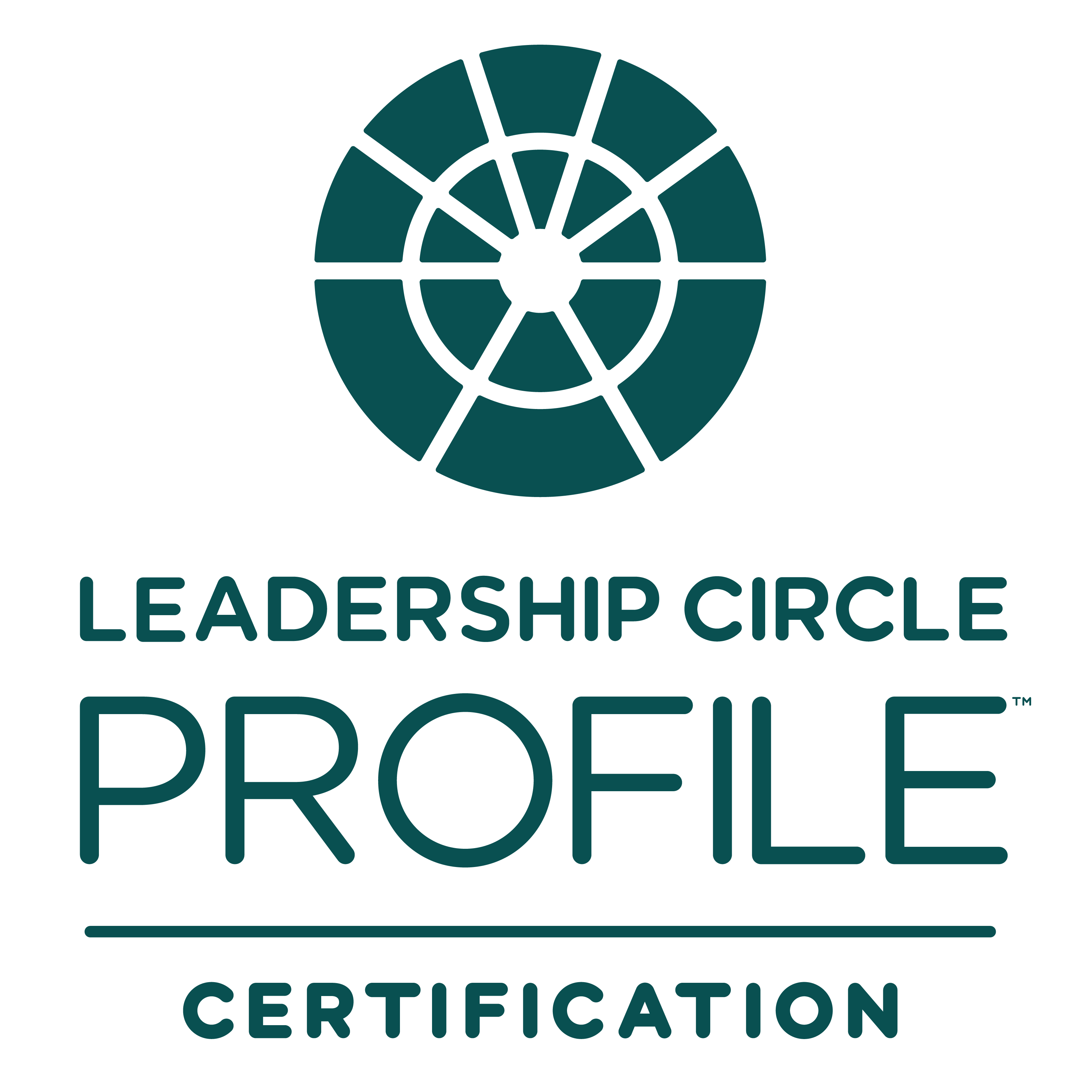 [ENGLISH] Virtual LCP Certification –  Nov 11-15, 2024 | 9:00 am – 2:00 pm CET (5 days) - Leadership Circle Europe product image