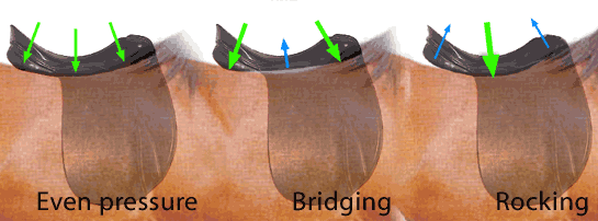 Saddle Tree Fit Examples