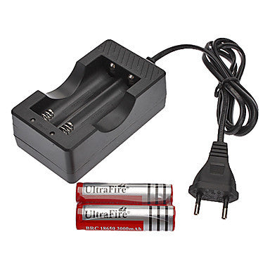 AC Charger + 2xUltraFire 18650 3.7V 3000mAh Rechargeable Battery with EU 100-240V Plug